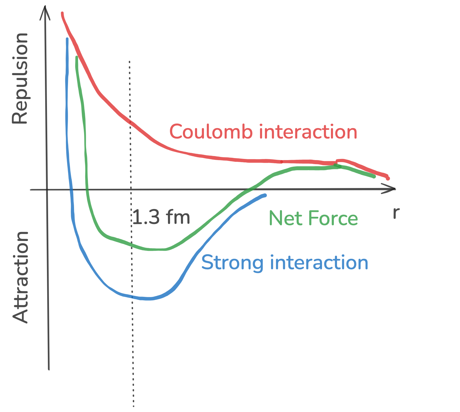 Comparison between Coulomb and strong nuclear interactions
