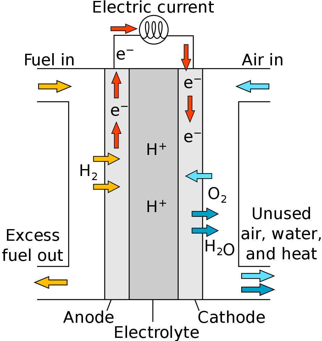 Proton exchange membrane fuel cell