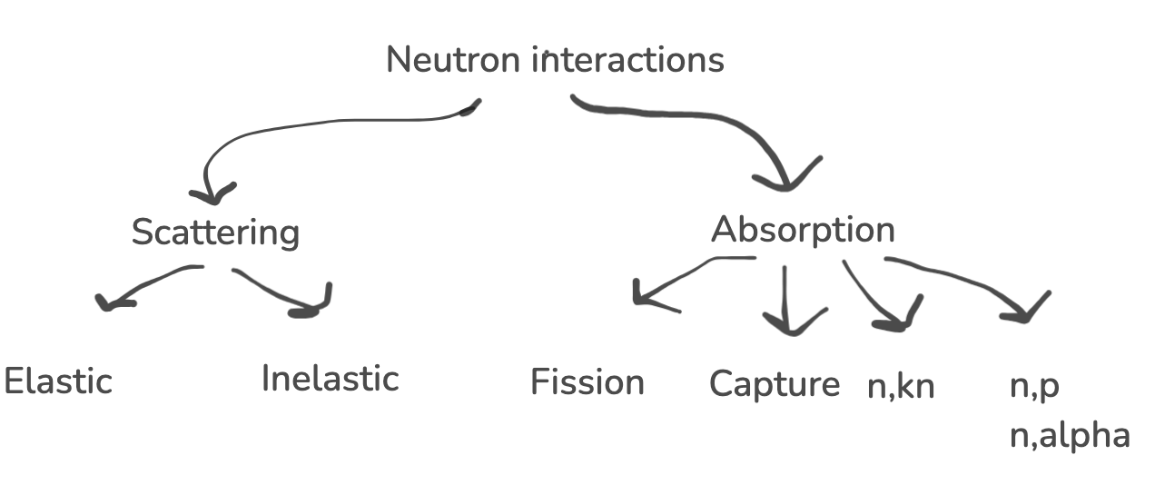 Schematic of neutron interactions with matter